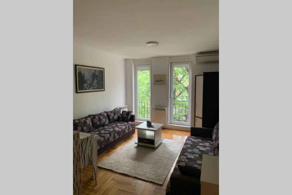 Renovated Cozy Studio 7 At Top Location - Available For Long Term Rentals Novi Sad Extérieur photo