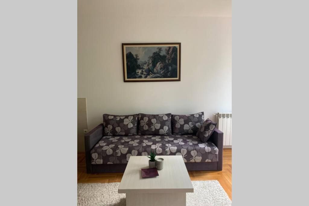 Renovated Cozy Studio 7 At Top Location - Available For Long Term Rentals Novi Sad Extérieur photo